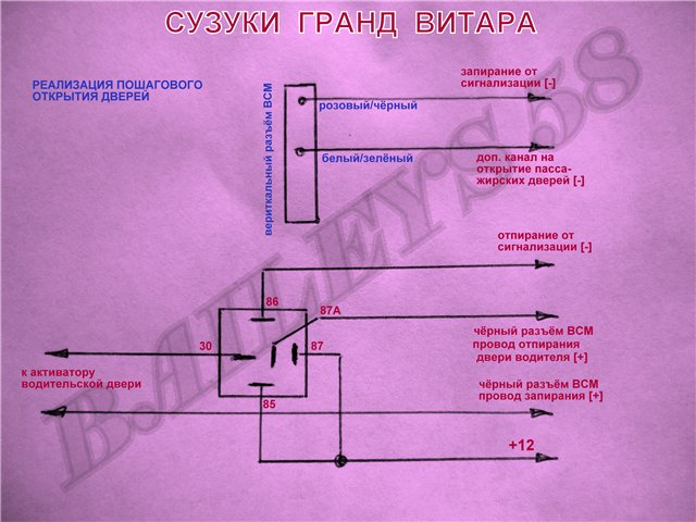 на Витаре.jpg